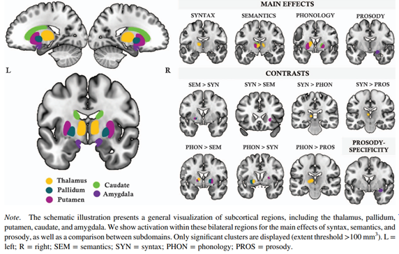 화면 캡처 2025-10-27 123558.png