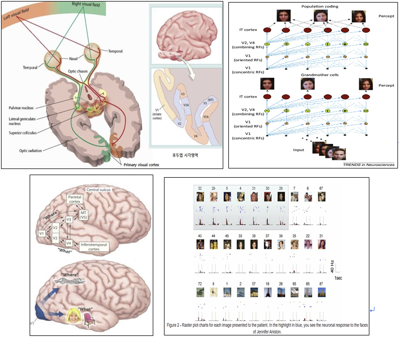 화면 캡처 2025-10-27 123246.png