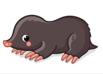 두더지와 들쥐(2).png