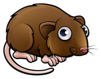 두더지와 들쥐(3).png