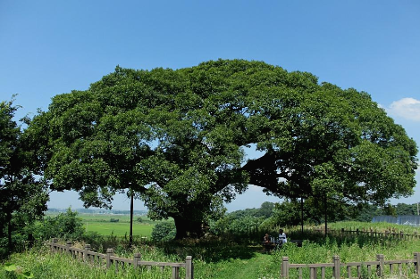 '왜요'라는 이름의(2).png