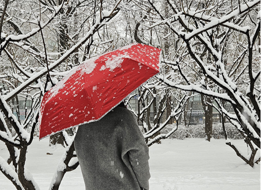 화면 캡처 2024-01-02 091505.png