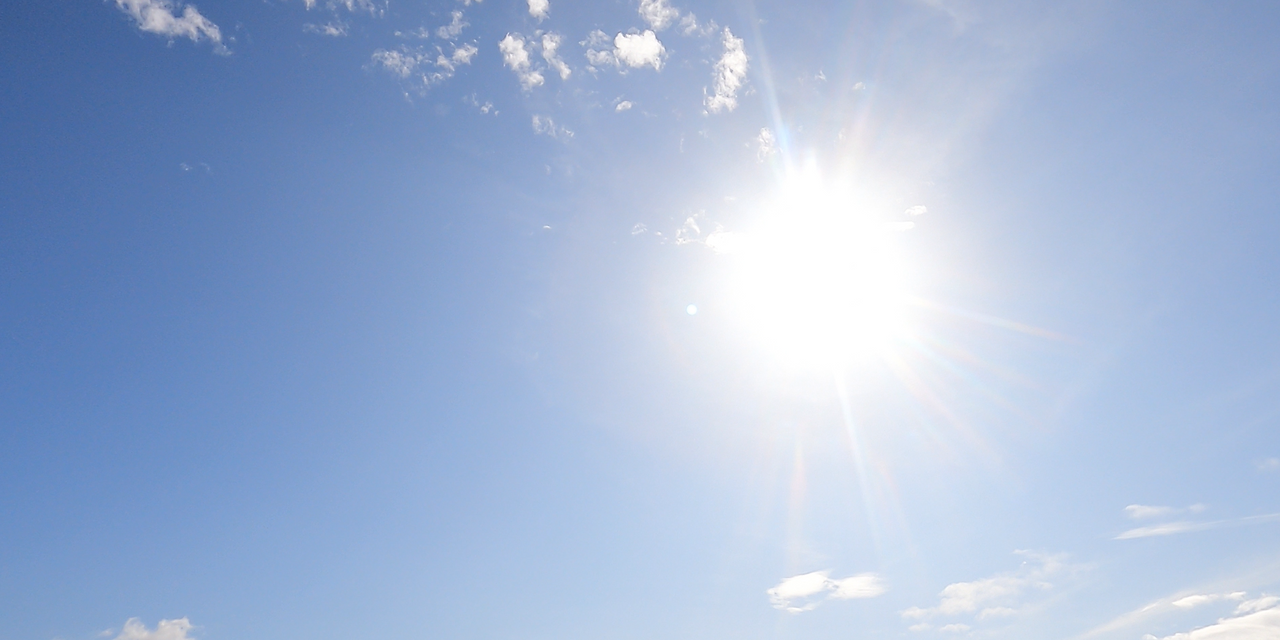 스크린샷 2023-11-20 175810.png