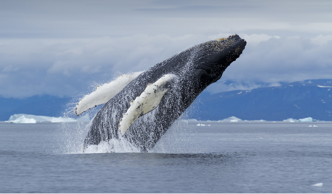 스크린샷 2025-05-07 012916.png