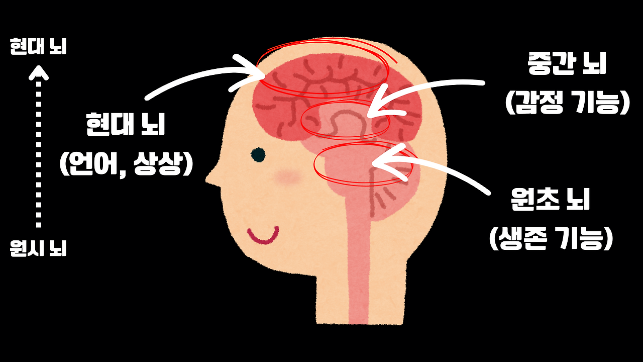 8LOUNGE 학습전략.png