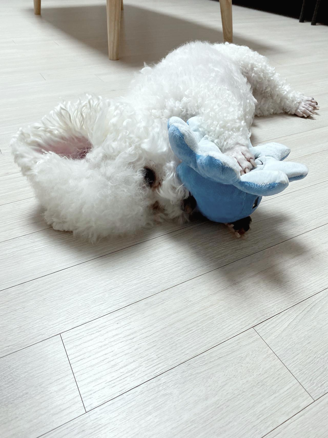 MicrosoftTeams-image (45).png