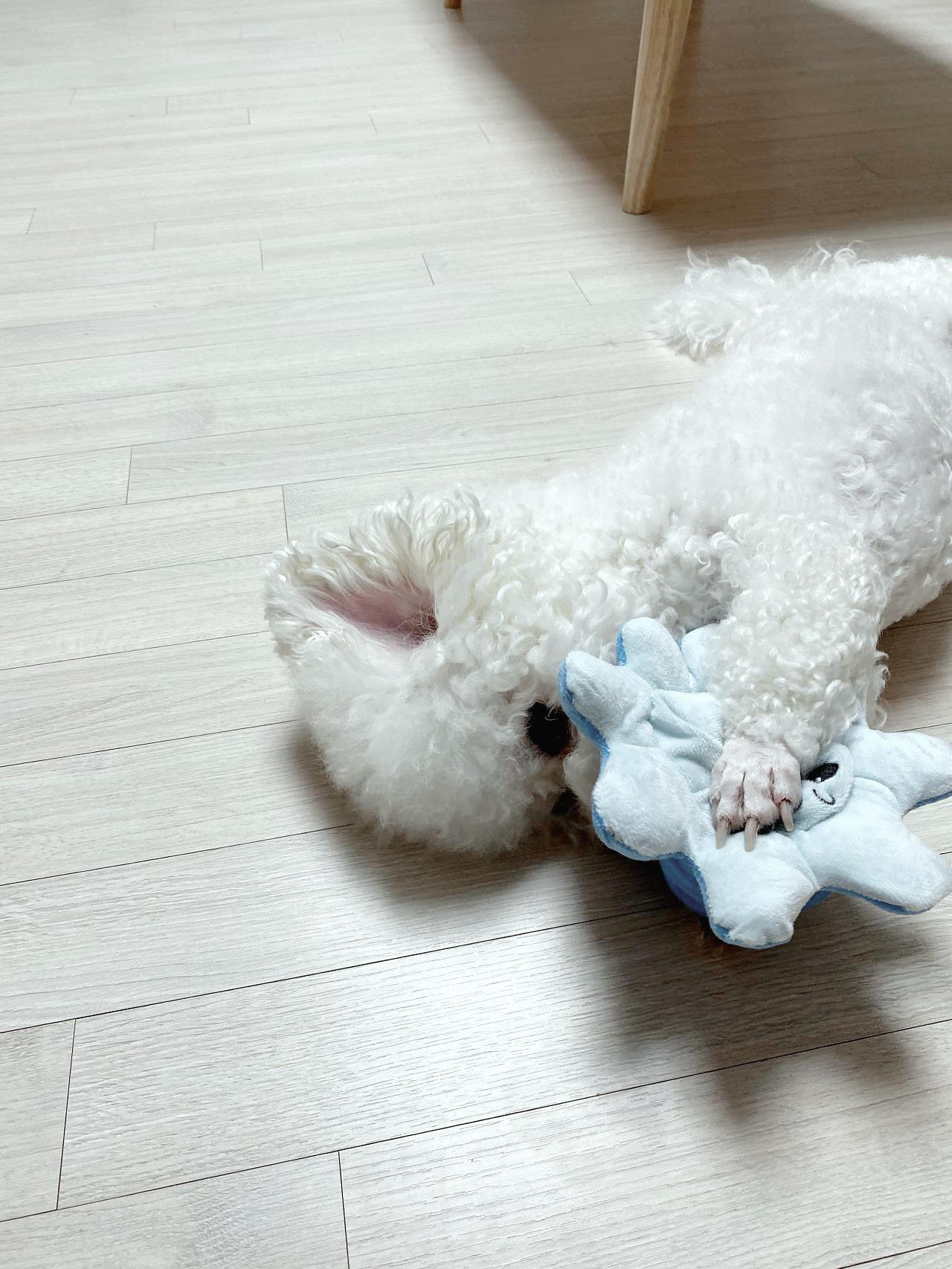 MicrosoftTeams-image (44).png