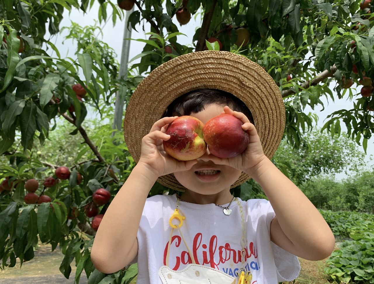 스크린샷 2022-08-11 오후 3.48.13.png