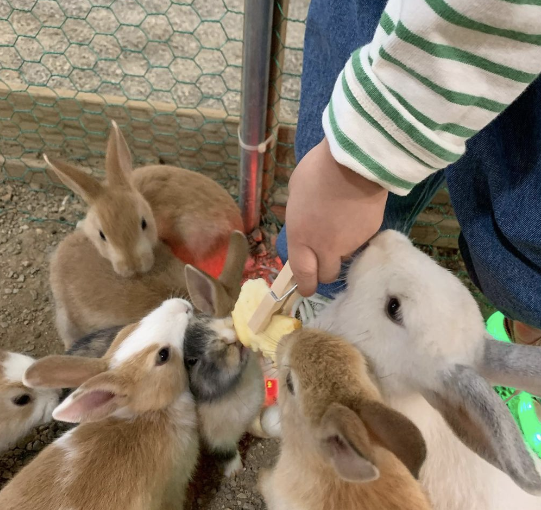 스크린샷 2022-08-11 오후 3.44.36.png