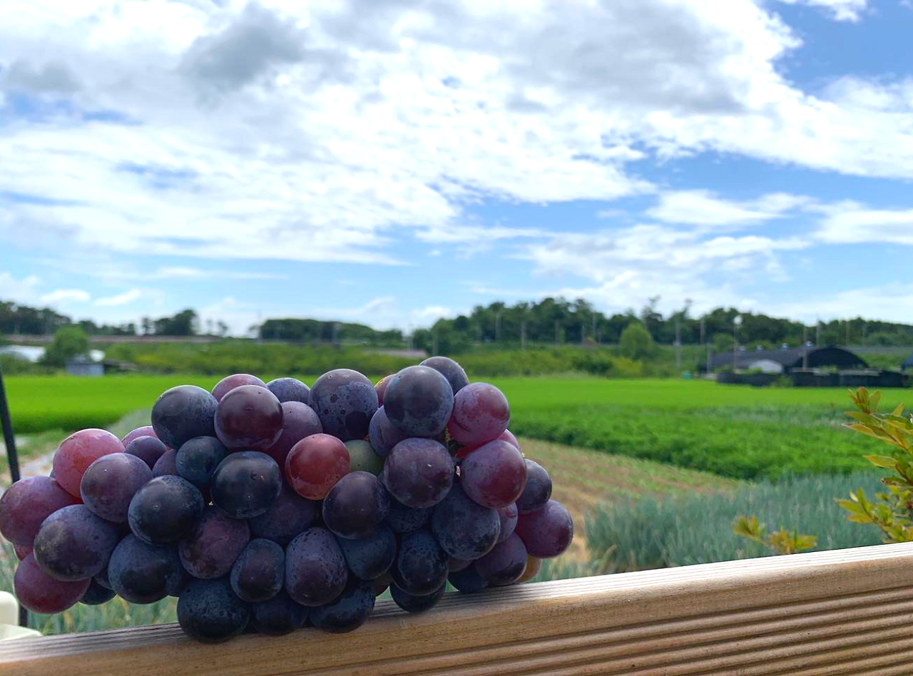 스크린샷 2022-08-11 오후 4.26.09.png