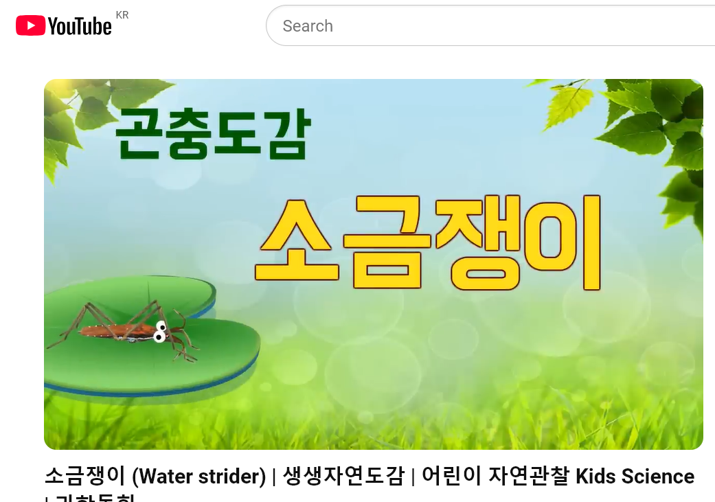 소금쟁이 유튜브.png