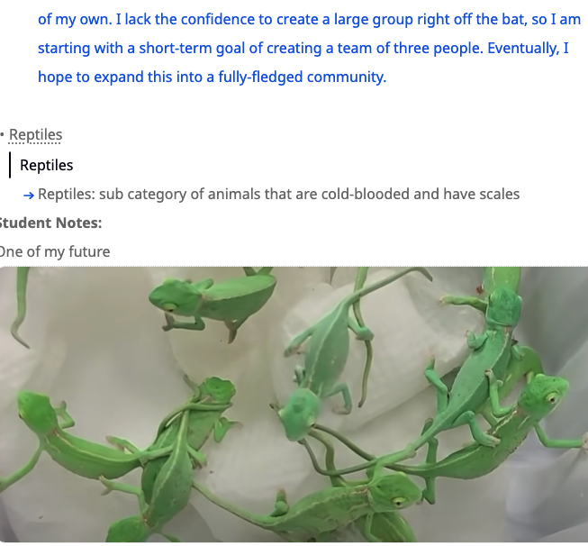 스크린샷 2022-08-10 오후 1.13.19.png