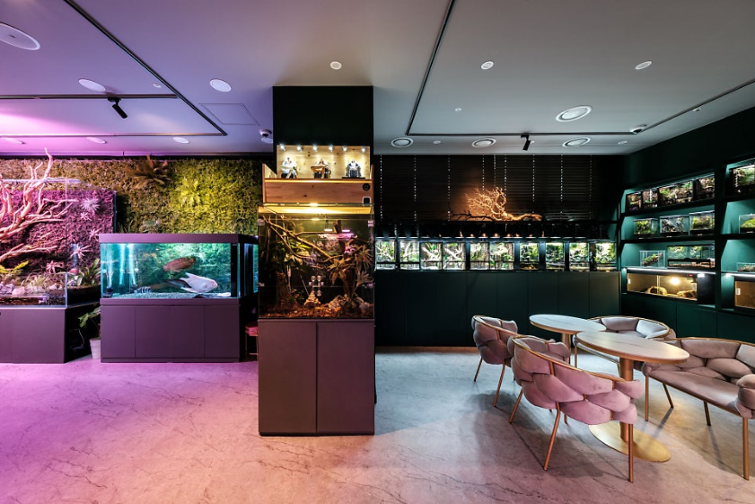 스크린샷 2025-11-11 101249.png