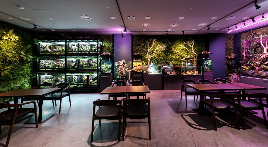 스크린샷 2025-11-11 101314.png