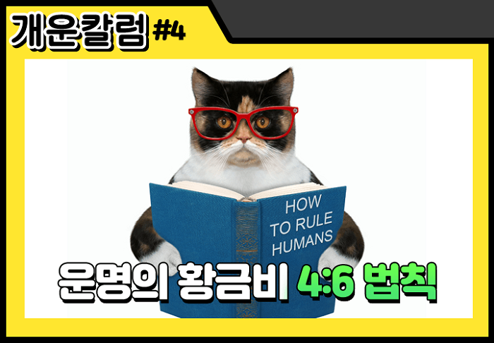 개운칼럼 4화_썸네일.png