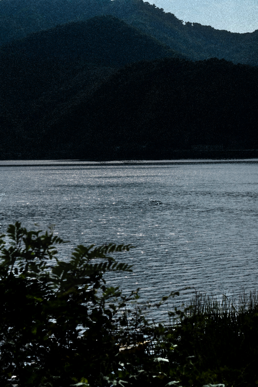 메인 1_ 내 눈 속 윤슬_민기 크게.png