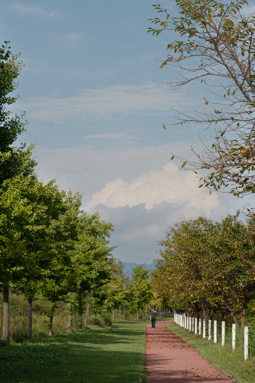 메인 2_내가 걸어온 길_민기 크게.png