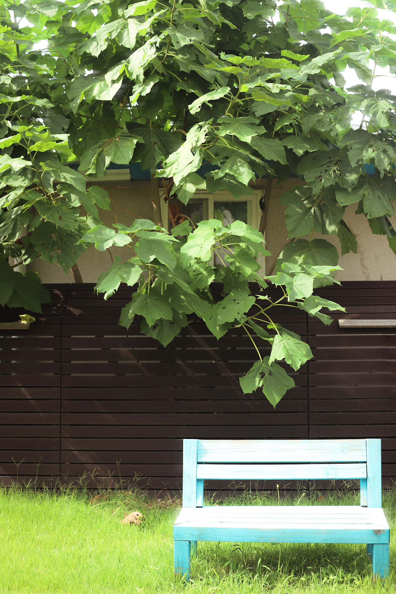 어린시점4_그때 거기_채영.png