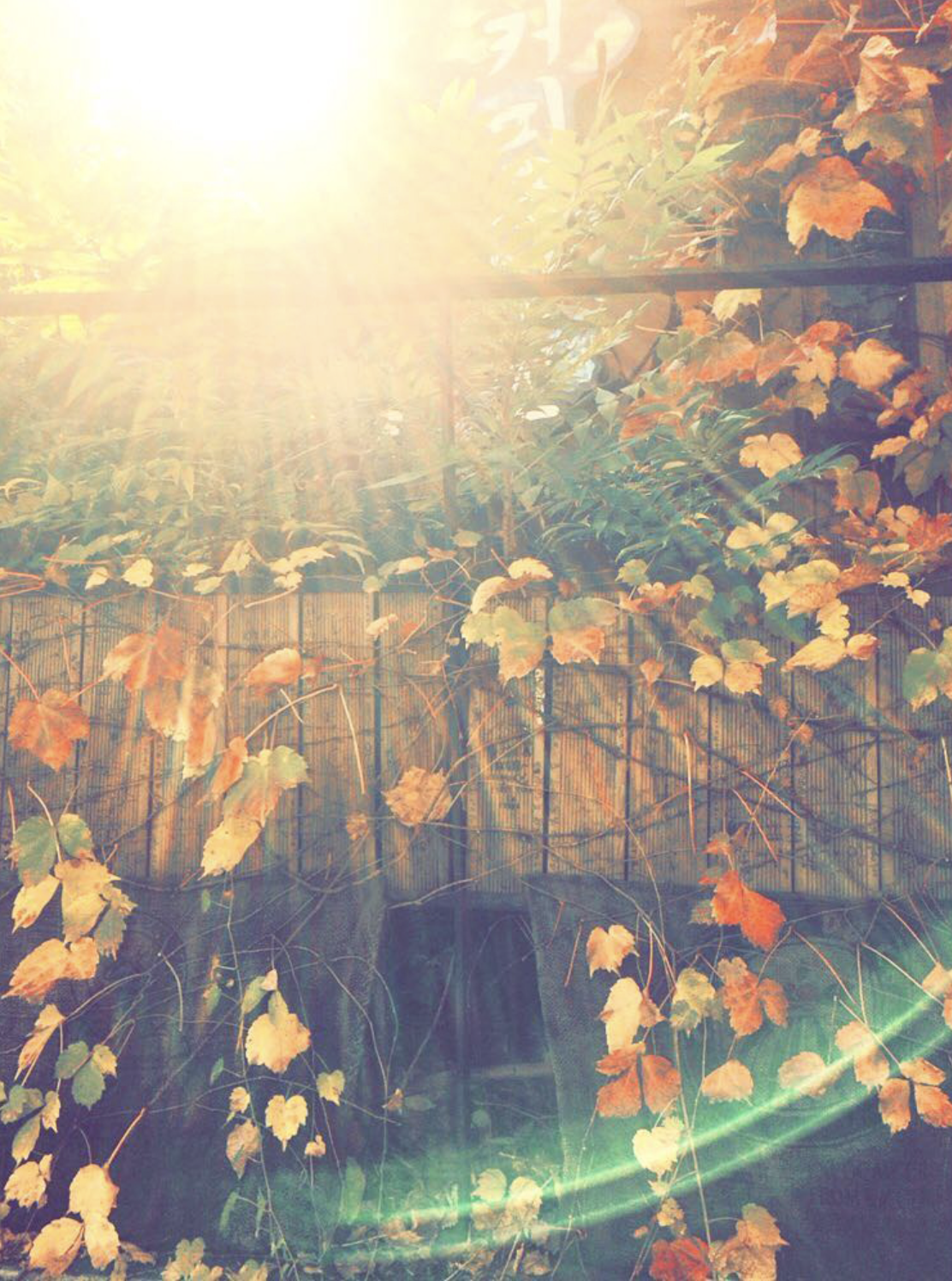 스크린샷 2022-02-06 오전 2.28.40.png