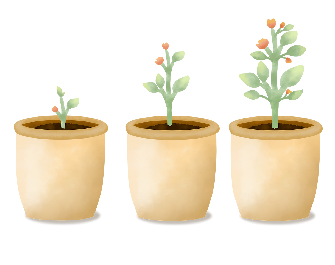 —Pngtree—spring flower life grow step_7635127.png