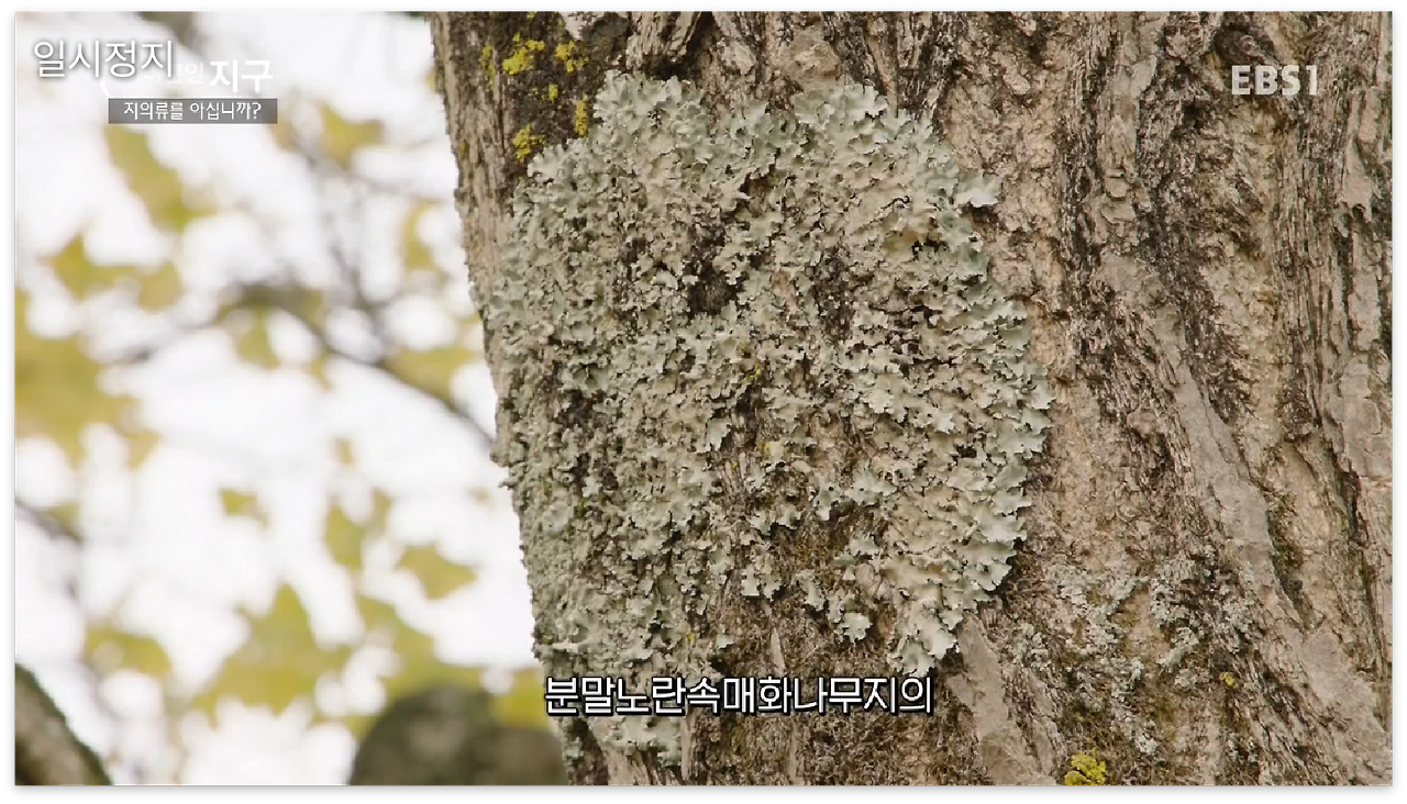 스크린샷 2017-01-01 오후 11.46.07.png