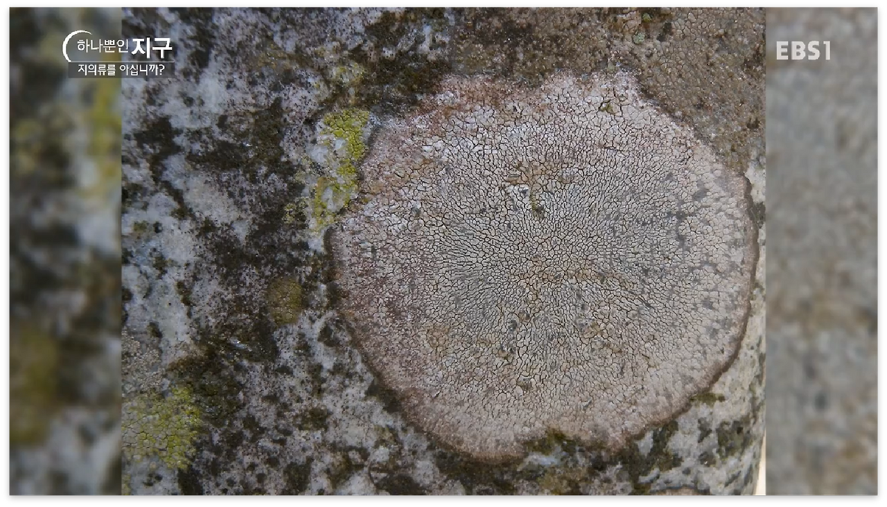 스크린샷 2017-01-02 오전 12.08.37.png