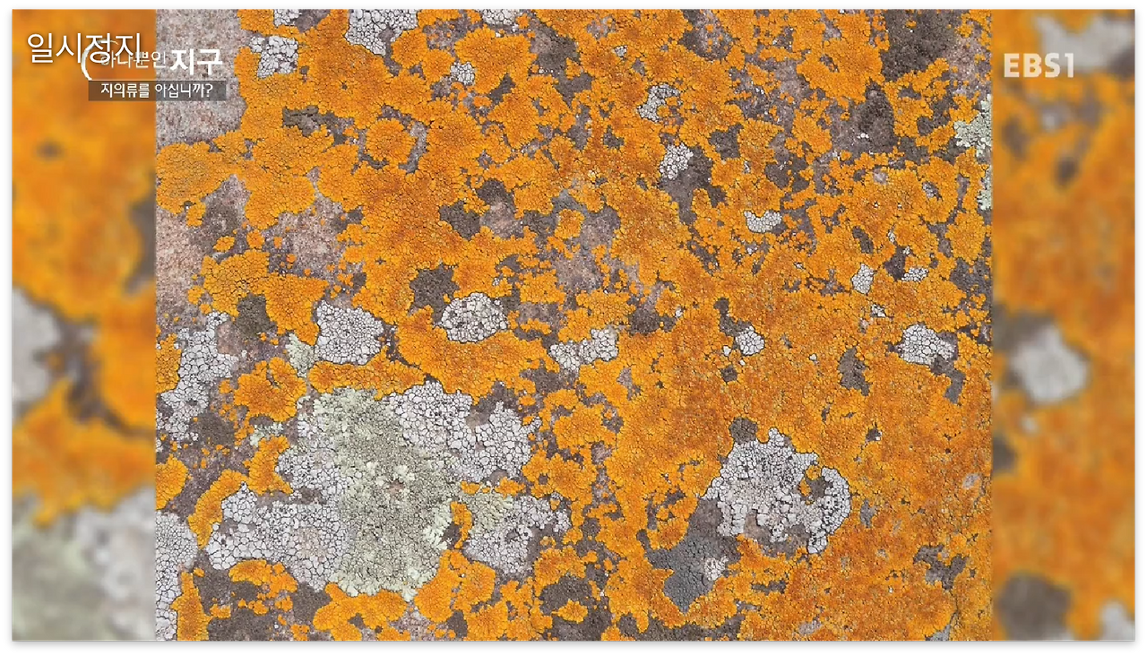 스크린샷 2017-01-02 오전 12.08.12.png