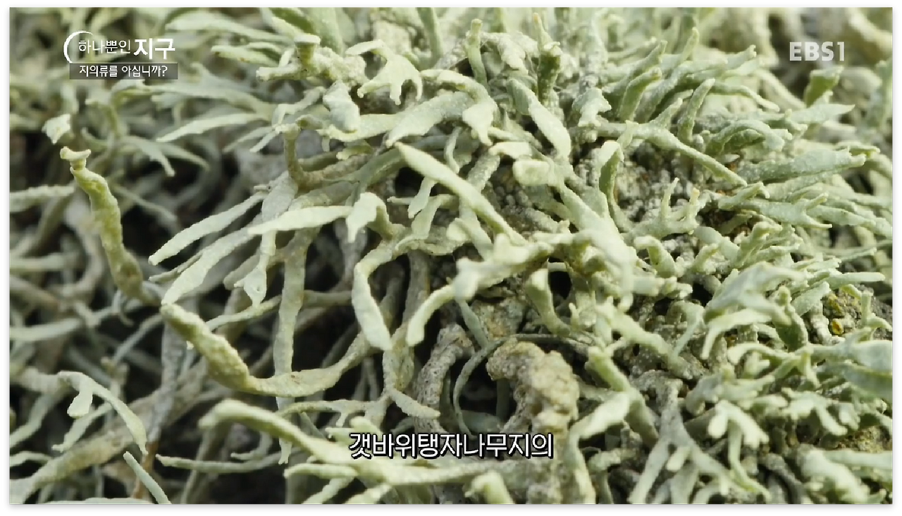 스크린샷 2017-01-02 오전 12.11.36.png