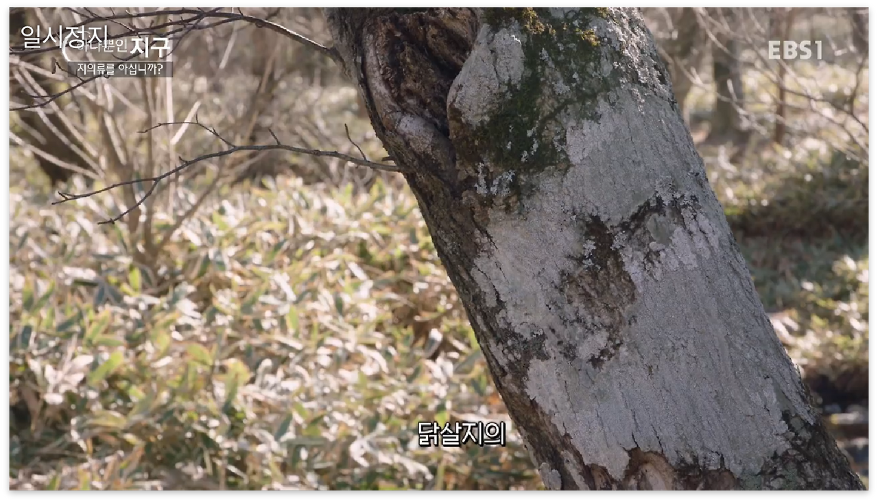 스크린샷 2017-01-01 오후 11.45.28.png