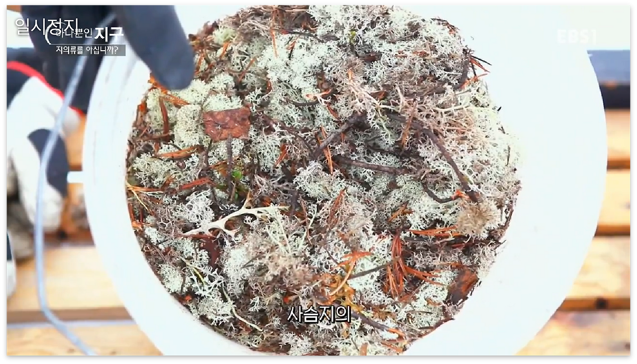 스크린샷 2017-01-01 오후 11.44.43.png