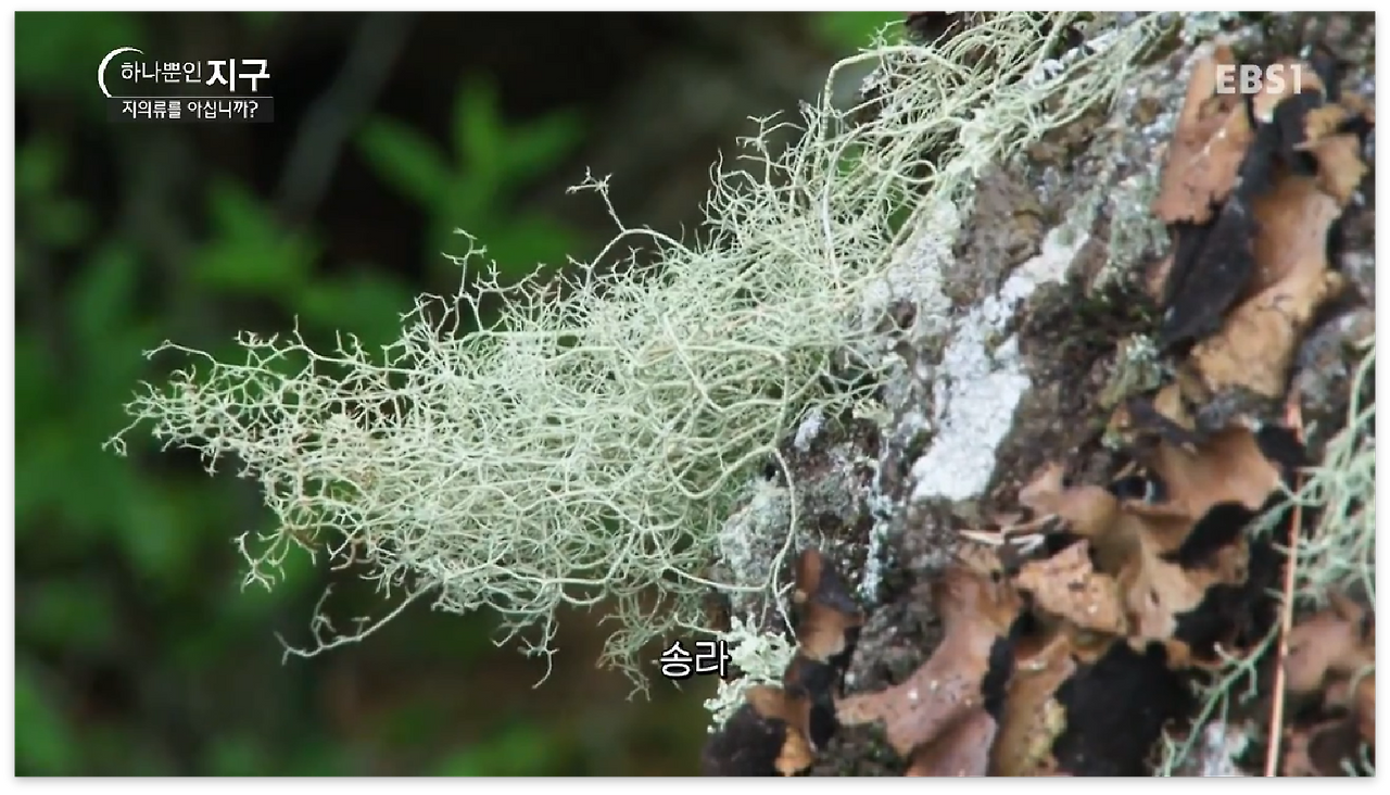 스크린샷 2017-01-01 오후 11.39.47.png