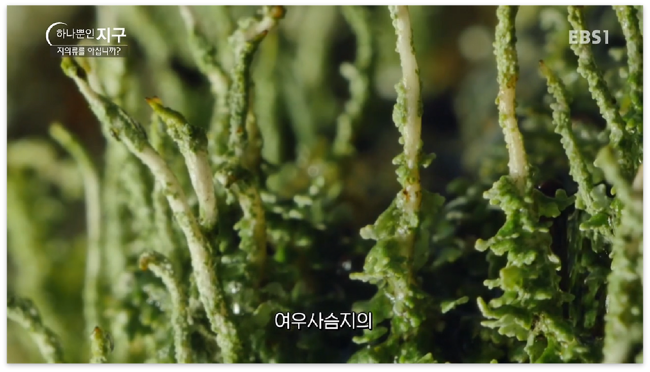 스크린샷 2017-01-01 오후 11.42.48.png