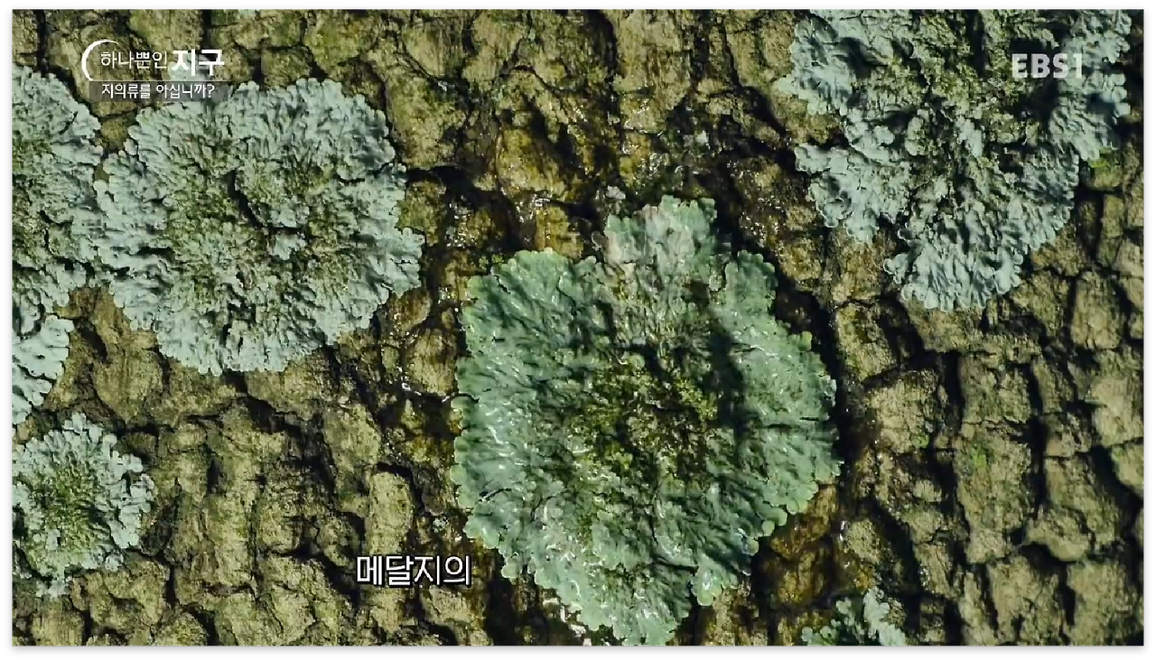 스크린샷 2017-01-01 오후 11.43.45.png