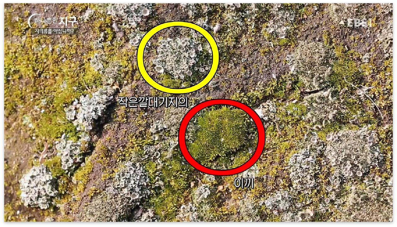 스크린샷 2017-01-01 오후 11.41.29.png