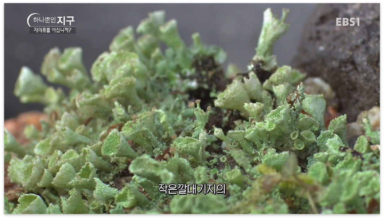 스크린샷 2017-01-02 오전 12.05.14.png