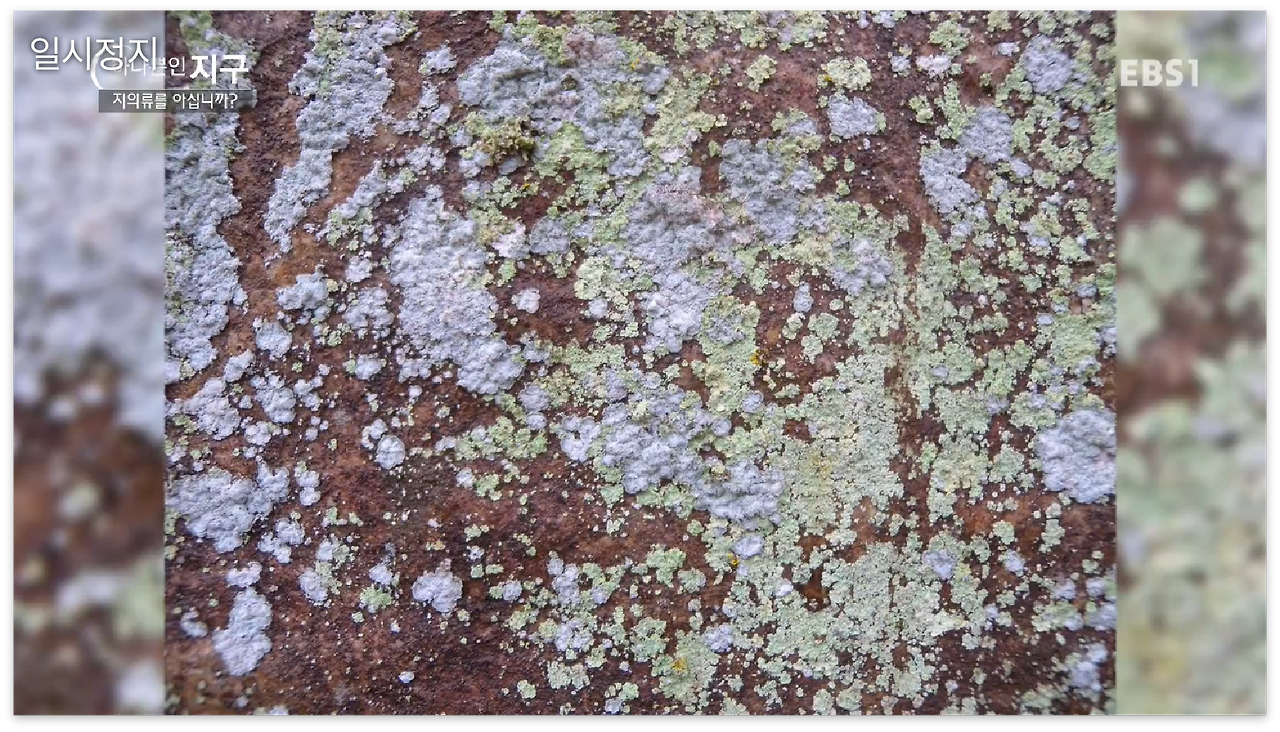 스크린샷 2017-01-02 오전 12.08.20.png