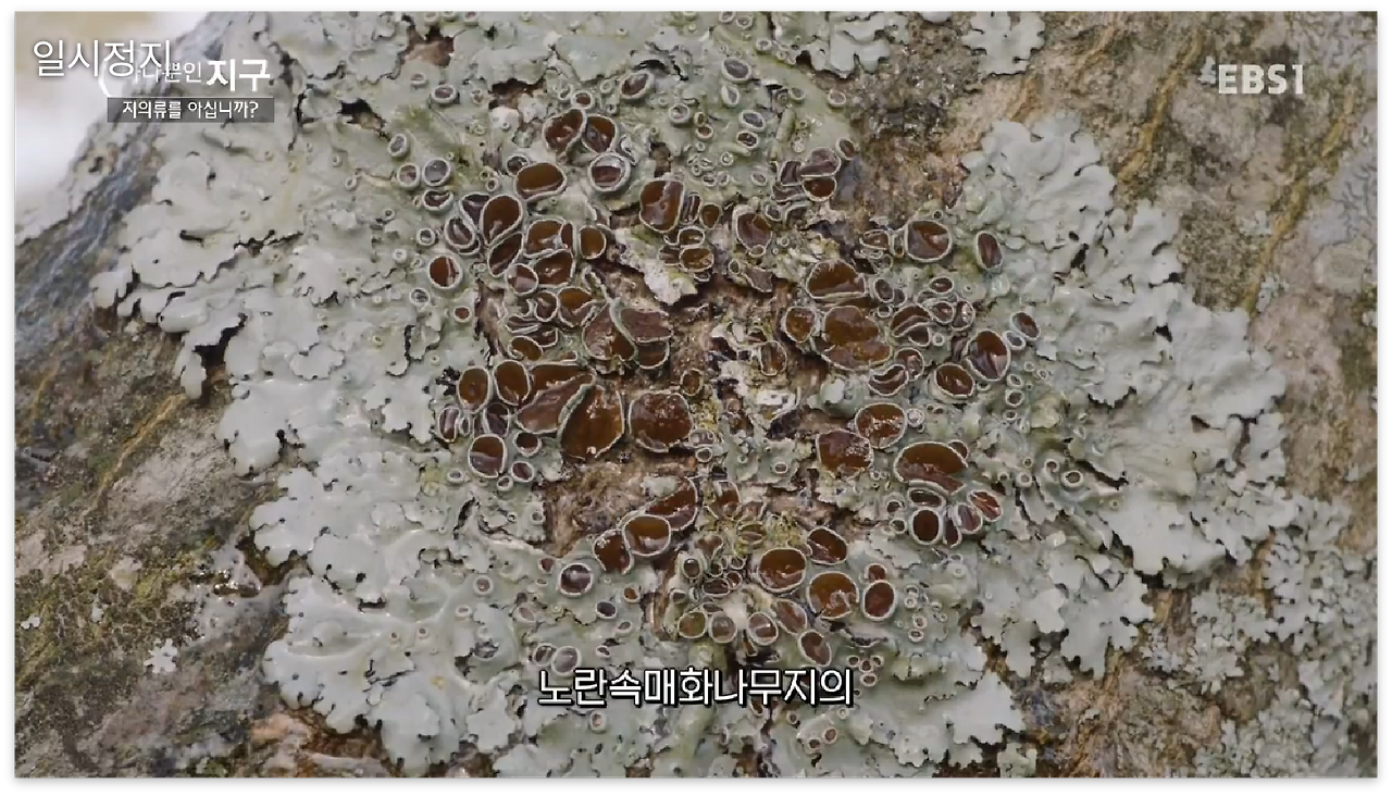 스크린샷 2017-01-02 오전 12.03.23.png