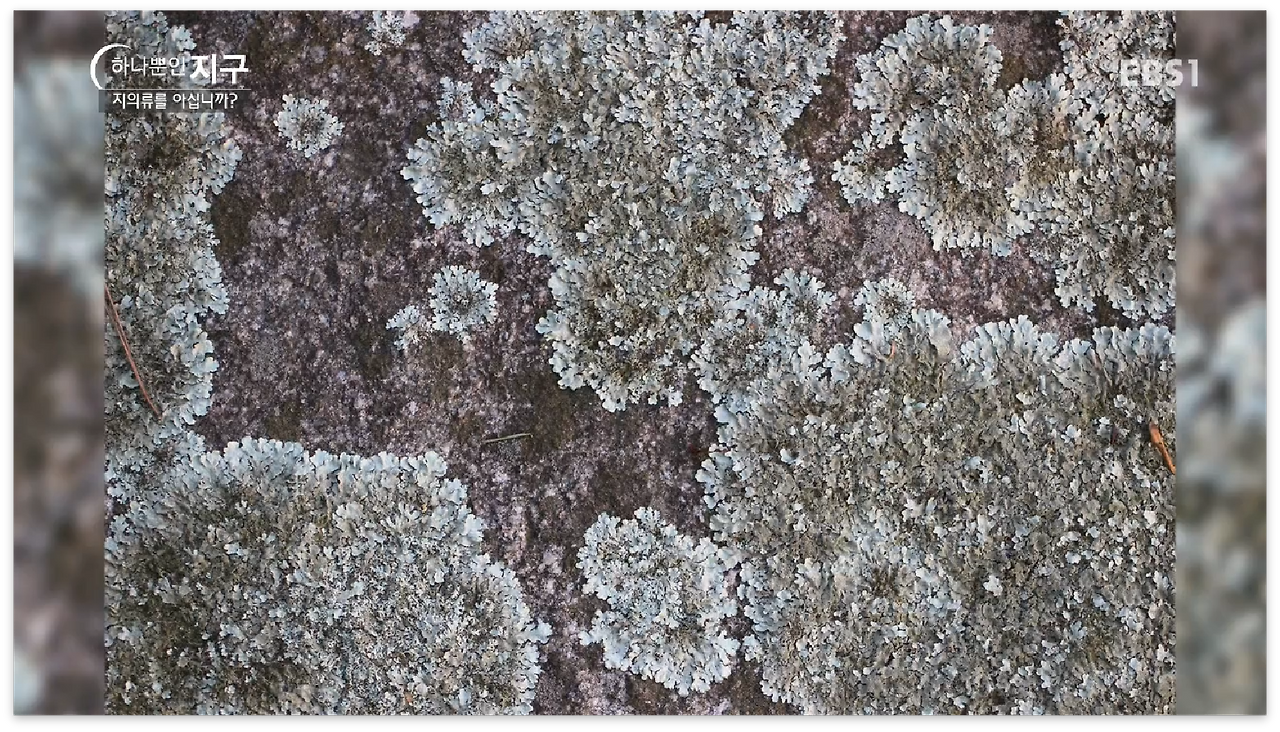 스크린샷 2017-01-02 오전 12.08.28.png