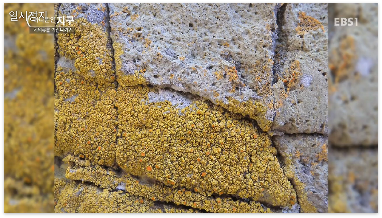 스크린샷 2017-01-02 오전 12.08.03.png