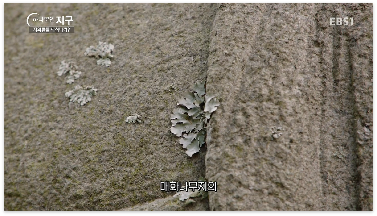 스크린샷 2017-01-01 오후 11.42.19.png