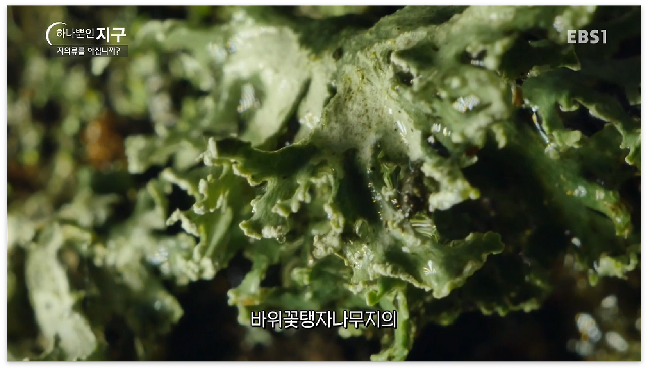 스크린샷 2017-01-01 오후 11.43.21.png