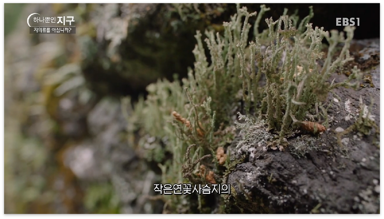 스크린샷 2017-01-01 오후 11.42.38.png