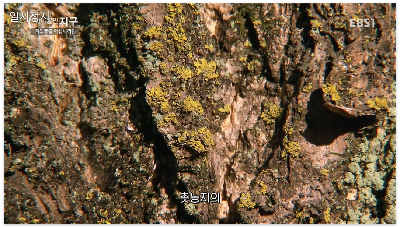 스크린샷 2017-01-02 오전 12.04.23.png