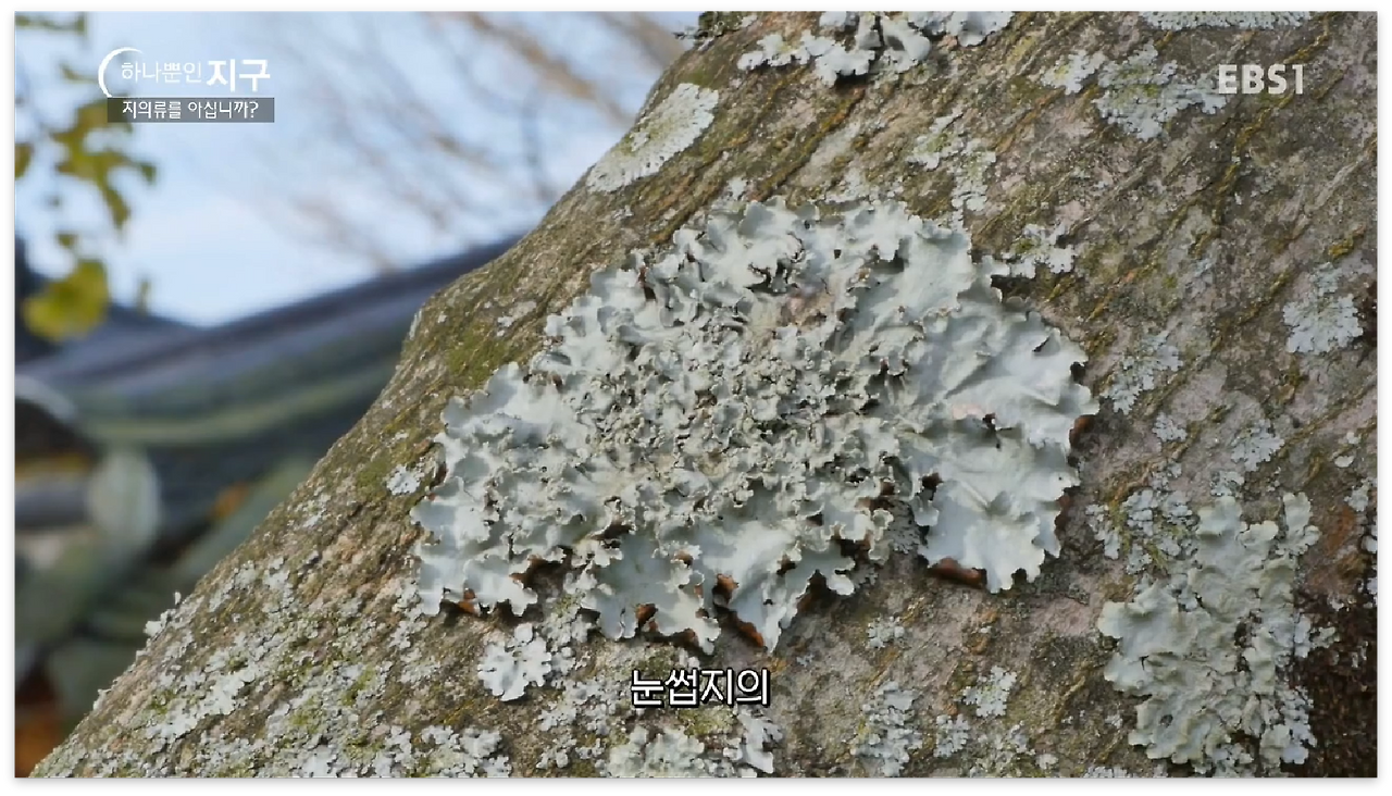 스크린샷 2017-01-01 오후 11.40.27.png