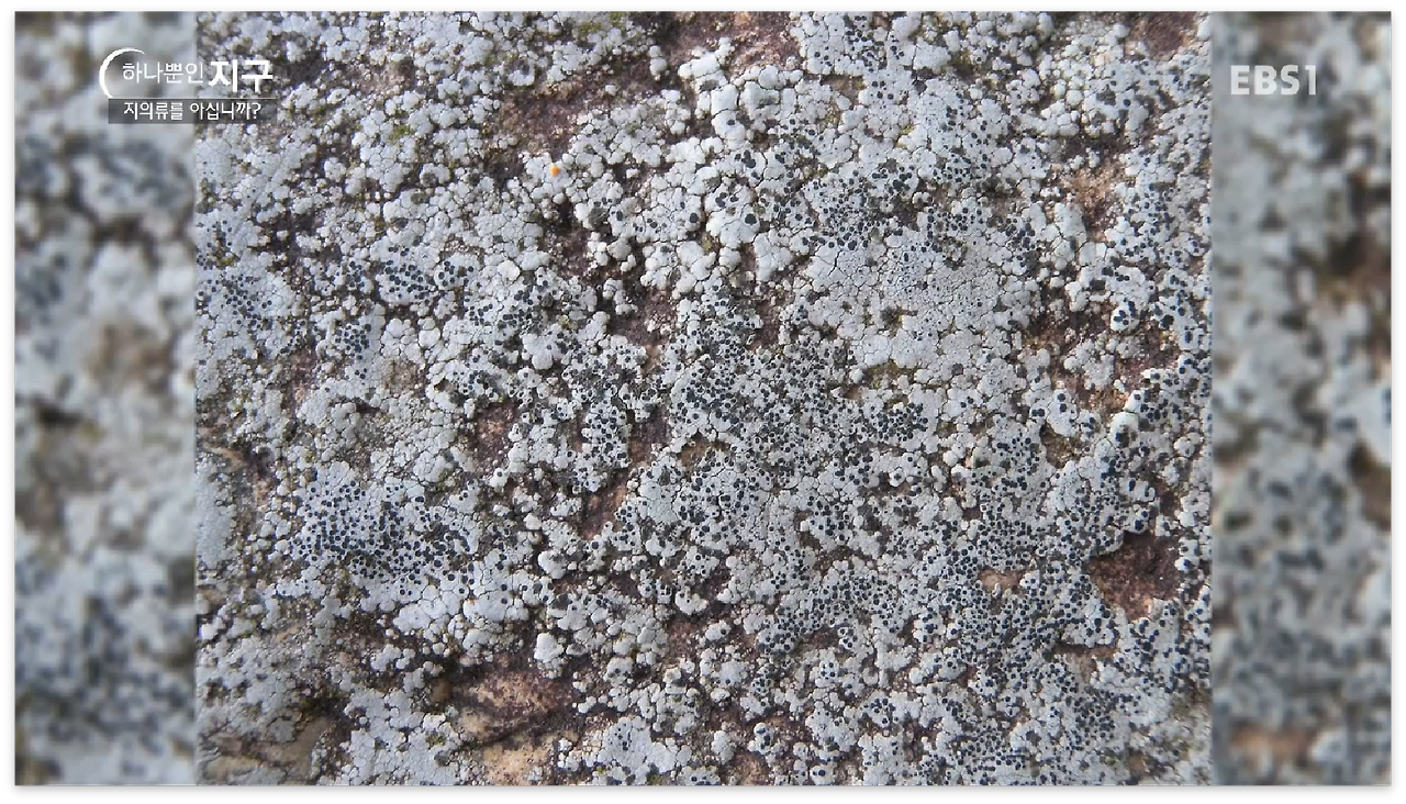 스크린샷 2017-01-02 오전 12.08.47.png