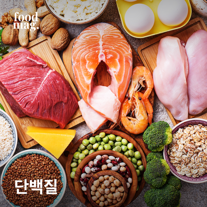 단백질.png