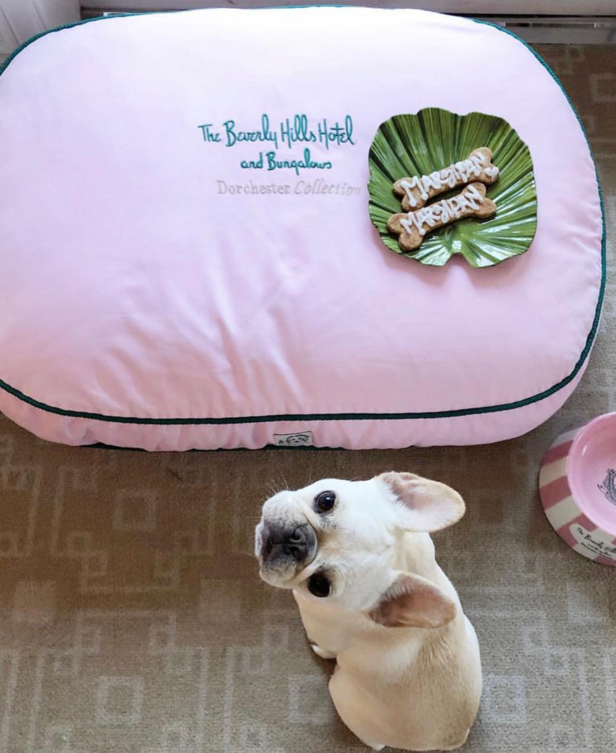 스크린샷 2025-01-21 오전 3.34.16.png