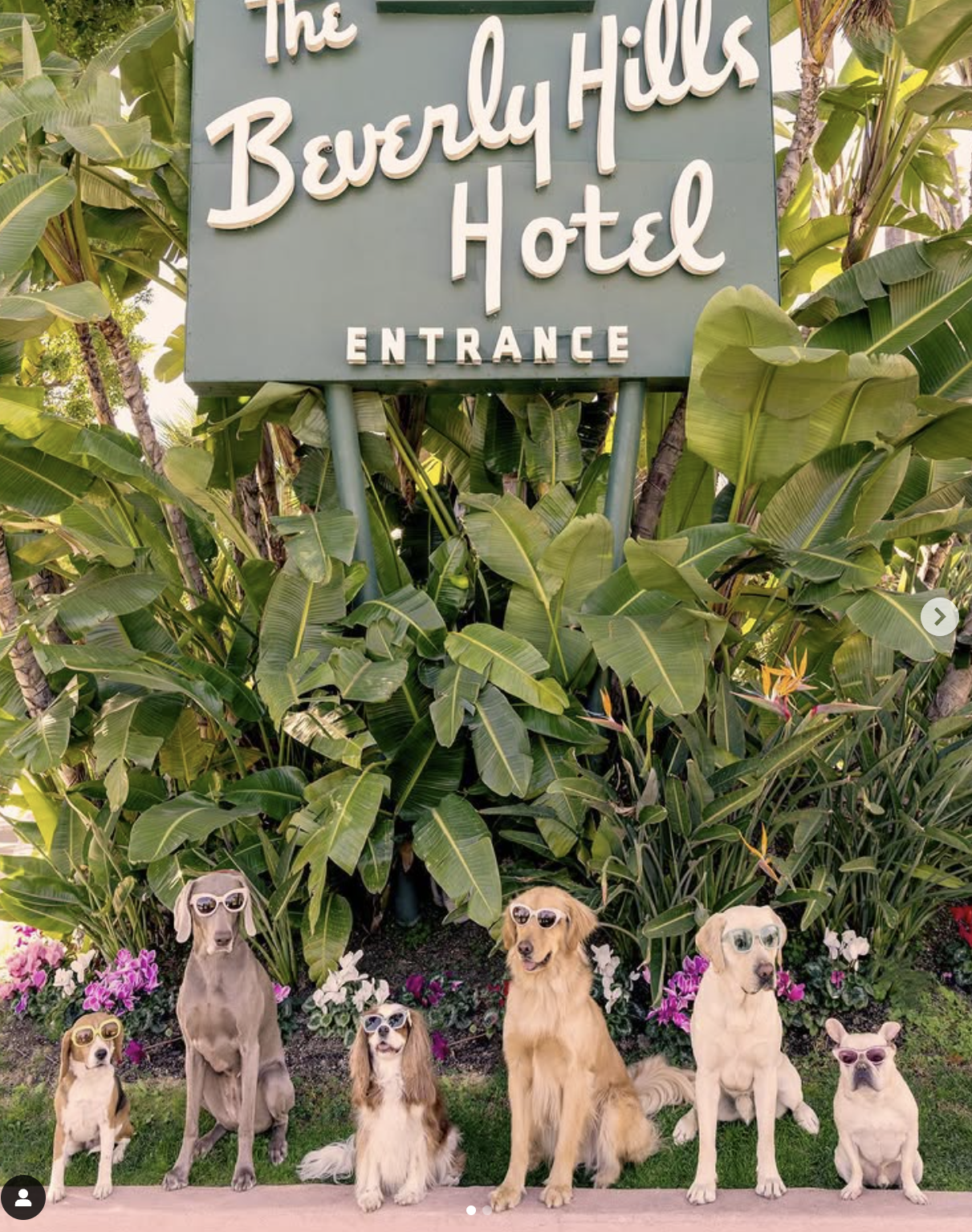 스크린샷 2025-01-21 오전 3.27.16.png