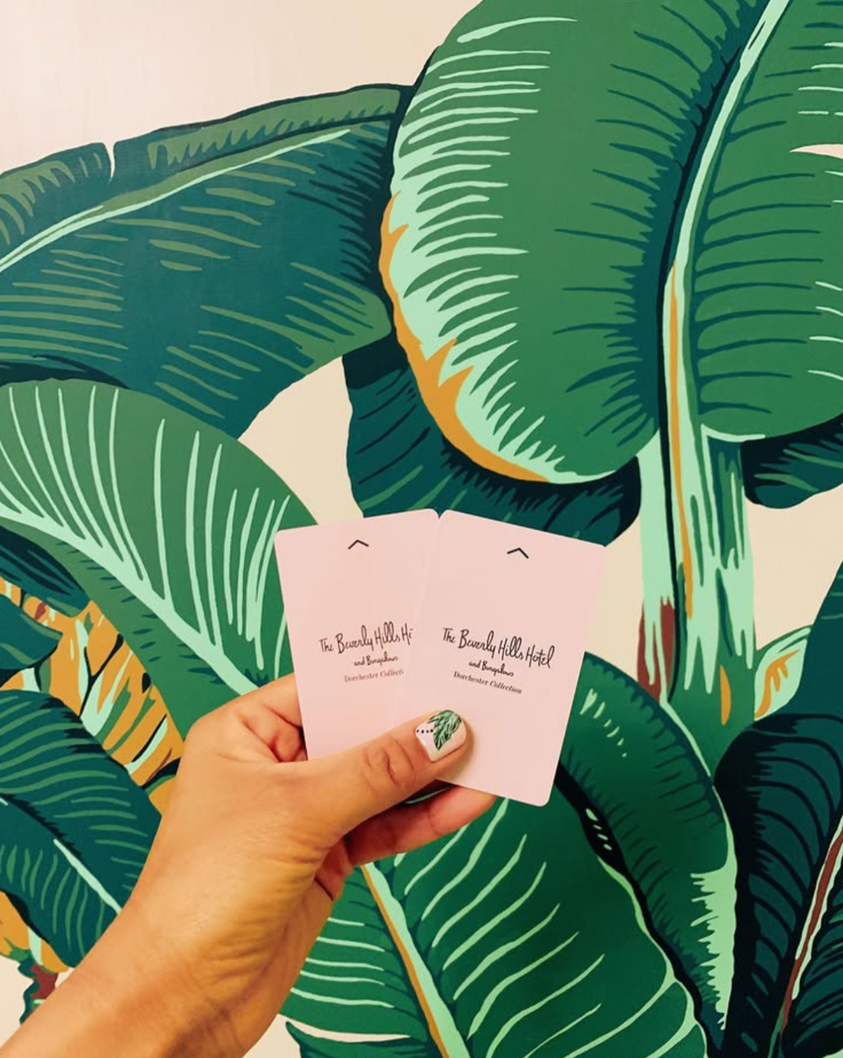 스크린샷 2025-01-21 오전 3.12.03.png