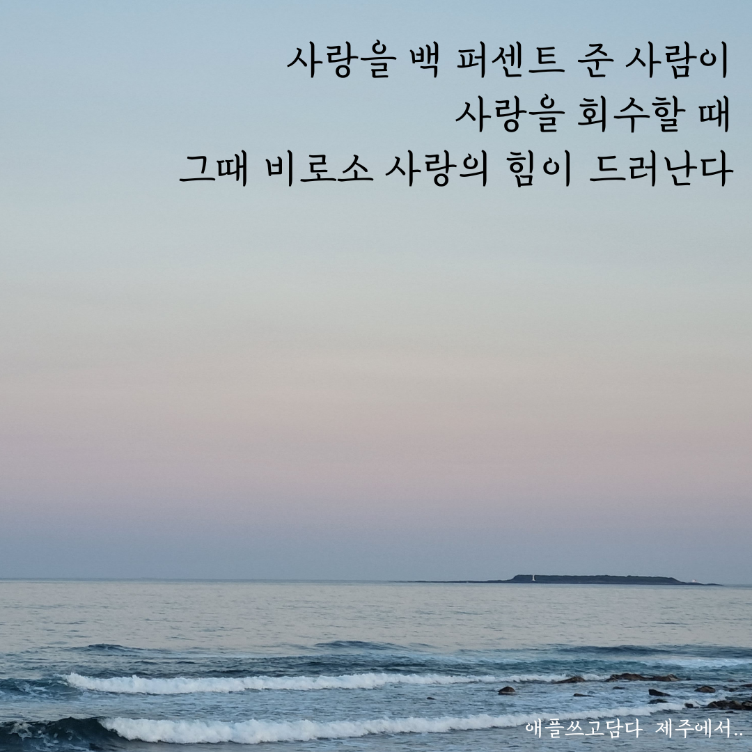 사랑을 백 퍼센트 준 사람만이 사랑을 회수할 수 있다 그때 비로소 그 사랑의 힘이 드러난다 (1).png